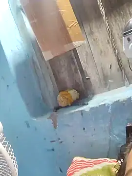 Natasha-In69 online show from January 31, 10:10 pm