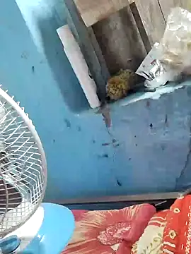 Natasha-In69 online show from February 6, 10:43 pm