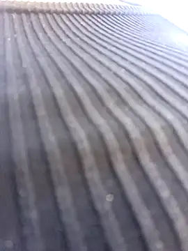 Lesly 10- online show from January 16, 3:13 pm