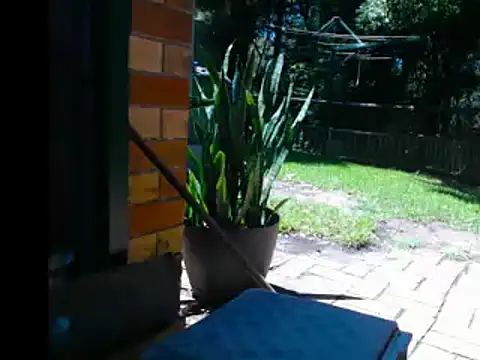 InfamousBabyy  online show from December 12, 12:27 am