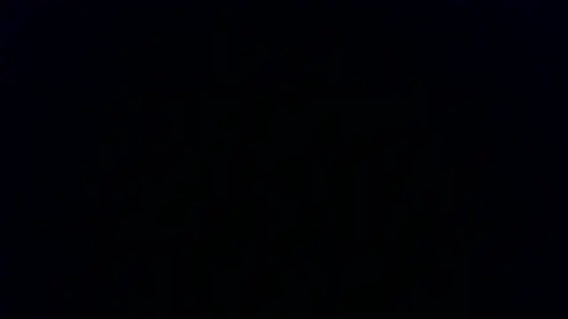 Kashtanka  online show from January 8, 7:54 am