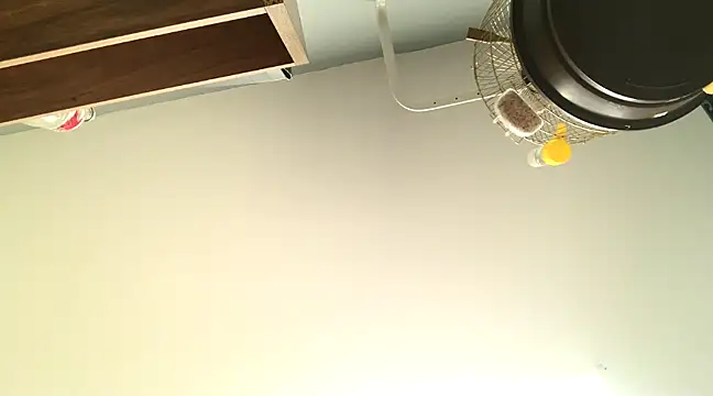 Snapshot of themany29 chatting on January 27, 8:17 pm themany29 online show from January 27, 8:17 pm