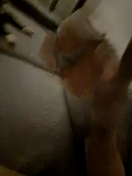 Snapshot of Bretoncool chatting on April 4, 8:50 pm Bretoncool online show from April 4, 8:50 pm