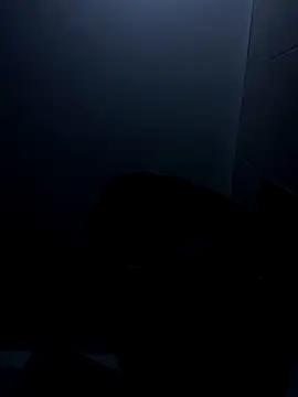 Lyon vach online show from October 22, 1:33 pm