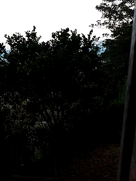 AuroraBon online show from December 10, 11:22 am