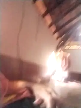 Snapshot of rajshank chatting on December 29, 10:01 am rajshank online show from December 29, 10:01 am