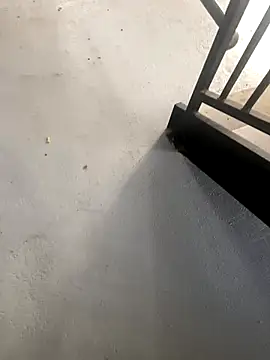 Snapshot of zeekBbc chatting on October 27, 2:21 pm zeekBbc online show from October 27, 2:21 pm