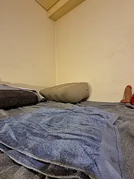 fox--3 online show from February 10, 5:00 am