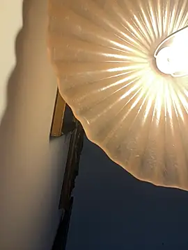 4n4l1zz4m1 online show from February 5, 3:27 pm