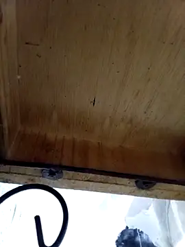 DaniSexFlow online show from October 13, 4:34 am