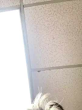 Snapshot of Tonybaloney1972 chatting on October 31, 8:54 pm Tonybaloney1972 online show from October 31, 8:54 pm