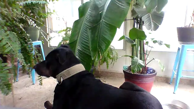 Big-Tits-McGee online show from December 18, 4:13 pm