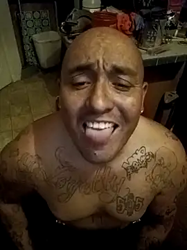 wilsons12 online show from December 20, 4:19 am