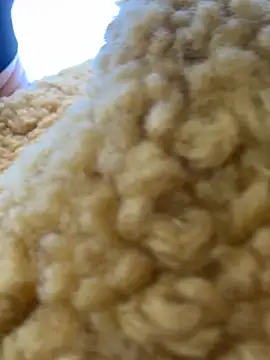 Snapshot of moneymaker_taipei chatting on February 25, 7:29 am moneymaker taipei online show from February 25, 7:29 am