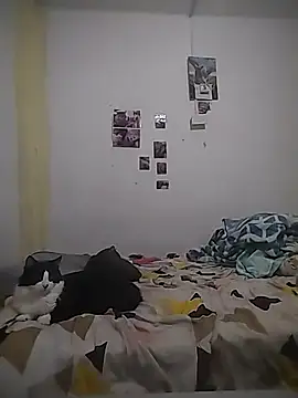 safira hot online show from February 16, 12:40 am