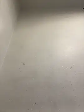 honeybrow online show from January 8, 9:55 pm