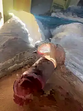 Snapshot of toto36643 chatting on February 23, 10:23 am toto36643 online show from February 23, 10:23 am