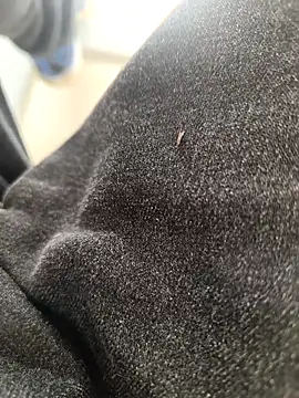 huzi518 online show from November 3, 3:30 am