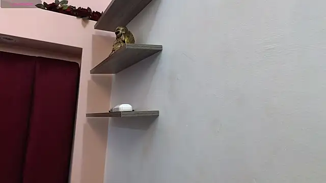 JESSYCORTES online show from February 11, 2:13 pm