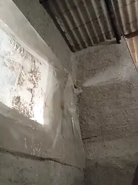 strip 1212 online show from November 16, 2:55 pm