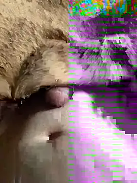 sansato133 online show from January 19, 9:44 am