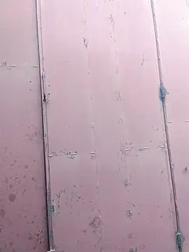 Polygamist online show from December 16, 7:46 am