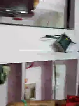 Snapshot of Sajd chatting on December 8, 2:07 am Sajd online show from December 8, 2:07 am