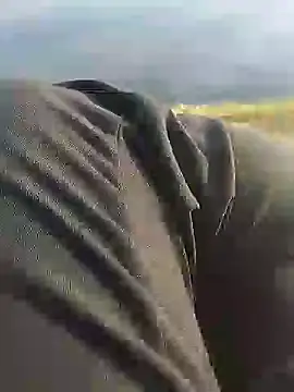 hexsmith96 online show from December 18, 2:17 pm