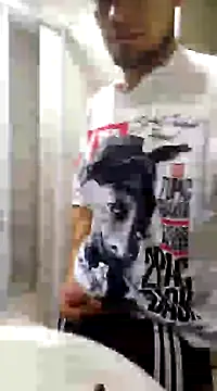 Snapshot of Jair_BM chatting on March 10, 3:45 am Jair BM online show from March 10, 3:45 am