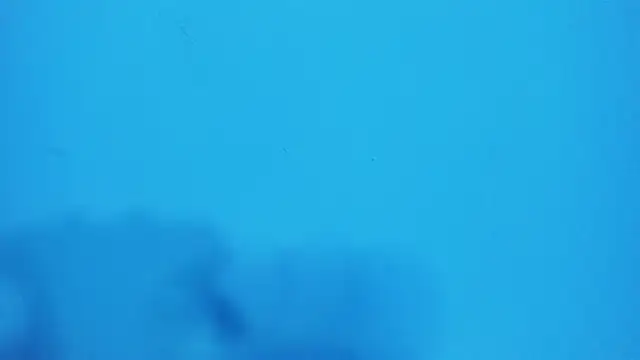  hairybeard  online show from February 20, 9:22 am