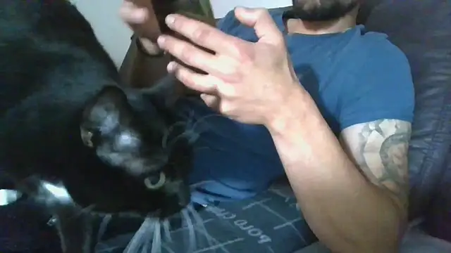 Snapshot of Kevoon991 chatting on November 20, 8:47 am Kevoon991 online show from November 20, 8:47 am