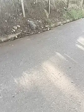 C vas  online show from December 7, 12:13 pm