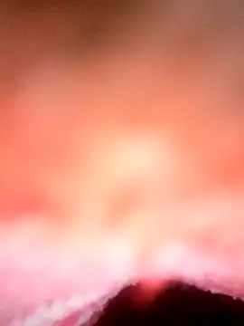 Snapshot of Avantika19 chatting on January 6, 12:13 pm Avantika19 online show from January 6, 12:13 pm