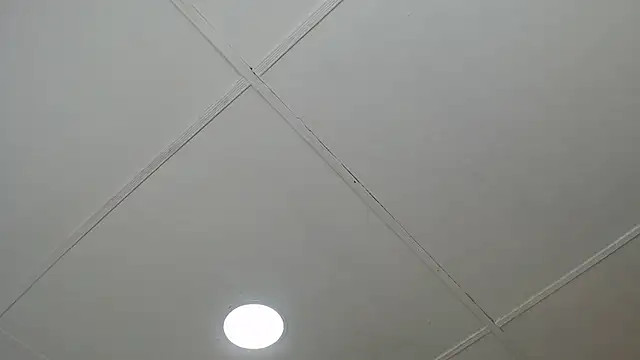 dannaberlin 0 online show from March 8, 12:20 pm