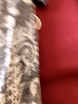 Snapshot of Ananya_34 chatting on December 3, 3:14 am Ananya 34 online show from December 3, 3:14 am