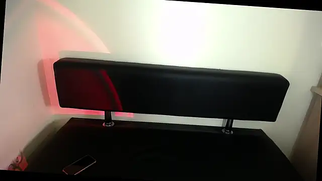 Snapshot of LaimaV_ chatting on January 19, 1:48 pm LaimaV online show from January 19, 1:48 pm