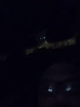 Snapshot of Watson4U chatting on December 13, 6:27 pm Watson4U online show from December 13, 6:27 pm