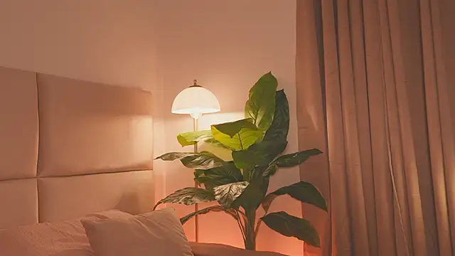 SweetHanson online show from March 24, 12:10 pm