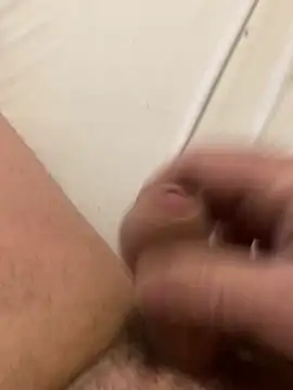 sid800 online show from November 14, 12:48 pm