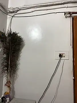 John desihunk online show from November 22, 9:30 am