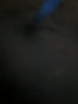 Snapshot of A-mira chatting on February 10, 10:52 am A-mira online show from February 10, 10:52 am