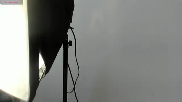 AbigailWilliams  online show from November 14, 11:20 am