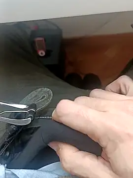 the lion 69 online show from February 5, 9:58 am