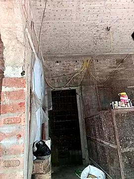 NICK IN online show from February 24, 7:33 am