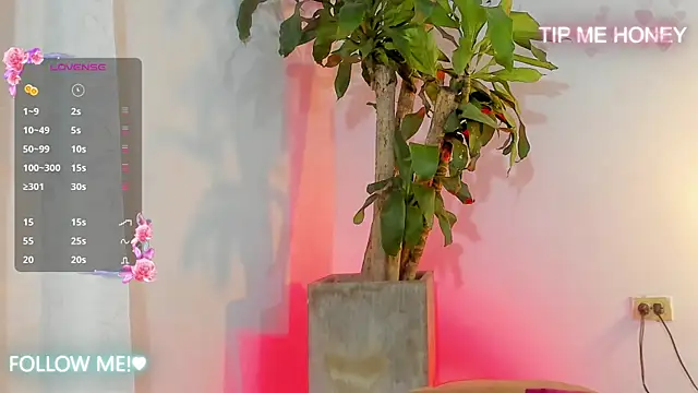 juanmiss online show from February 5, 9:46 am