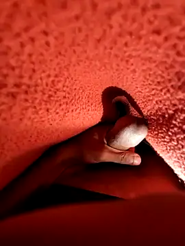 Snapshot of Ssdhaka11 chatting on December 25, 7:13 pm Ssdhaka11 online show from December 25, 7:13 pm