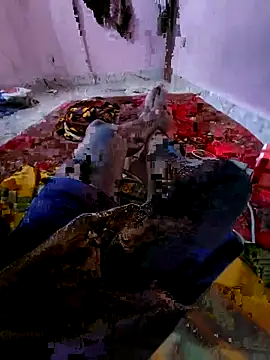 Snapshot of Ssdhaka11 chatting on November 6, 2:51 pm Ssdhaka11 online show from November 6, 2:51 pm