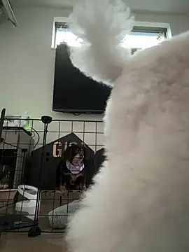 kensnb online show from March 8, 10:02 pm