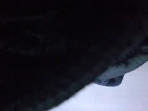 exmilitary online show from February 15, 12:58 pm