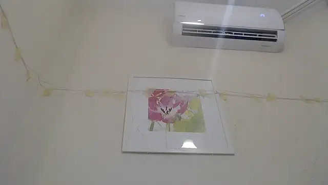 Only Mane online show from January 14, 2:53 pm